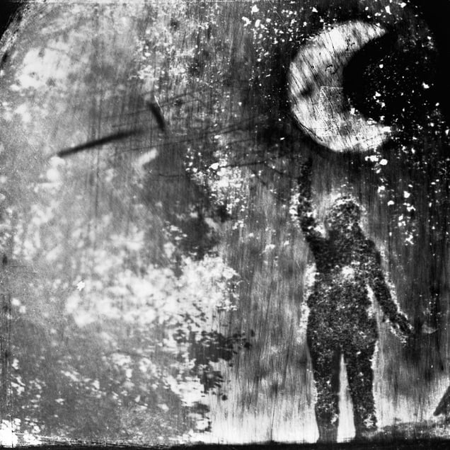 © Michael Donnor