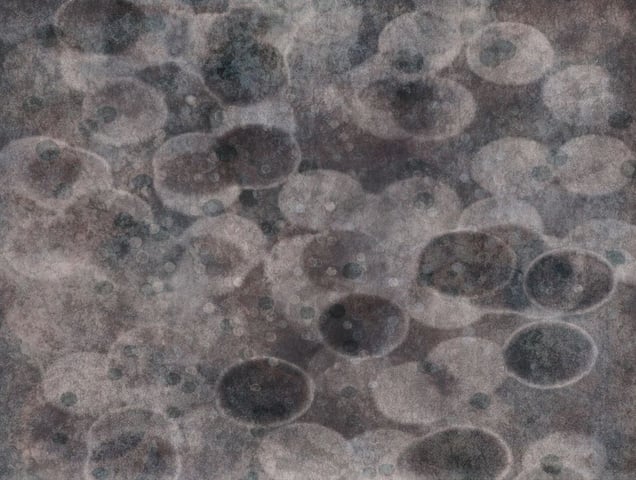 Infinities #10  46x36"  Edition of 5           ©Thomas Brummett