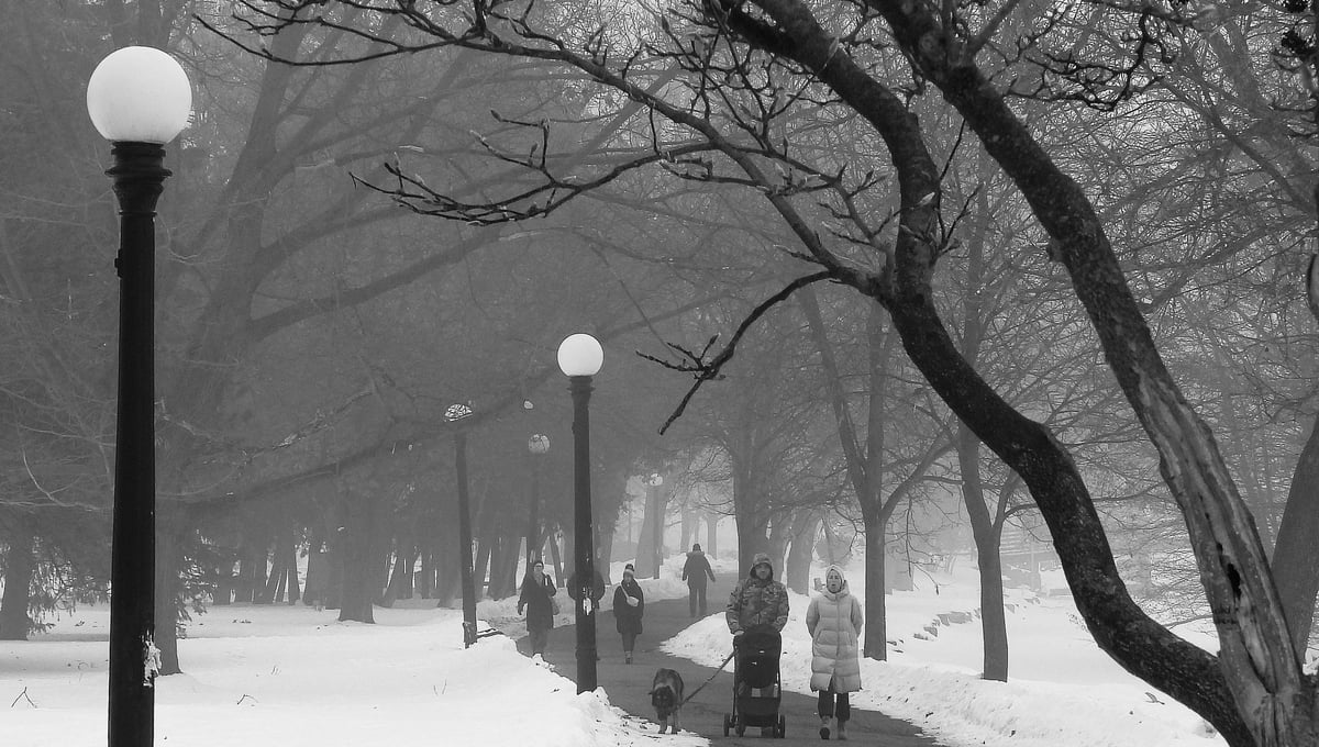 A foggy morning