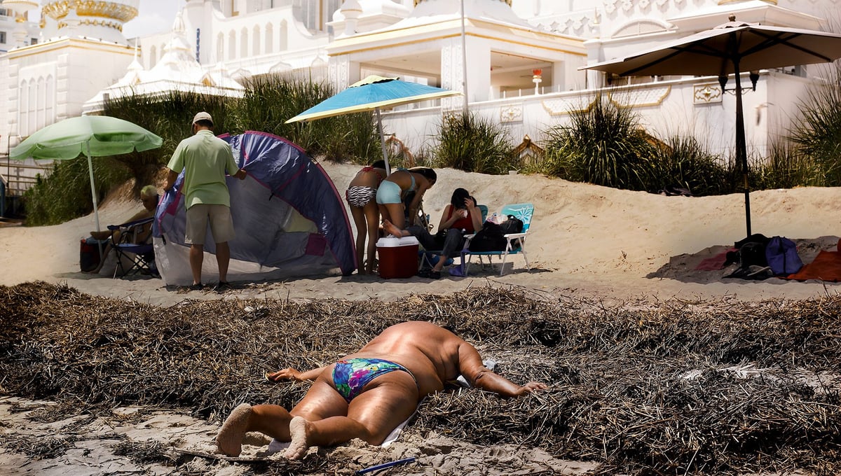 Sunning in the weeds, Atlantic city, NJ.