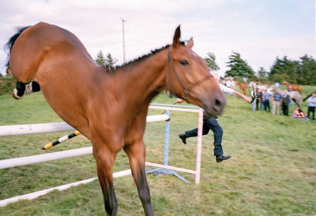 Lunging Crosmolina, Agricultural Show. From the exhibition "Landscapes" © Tom Wood