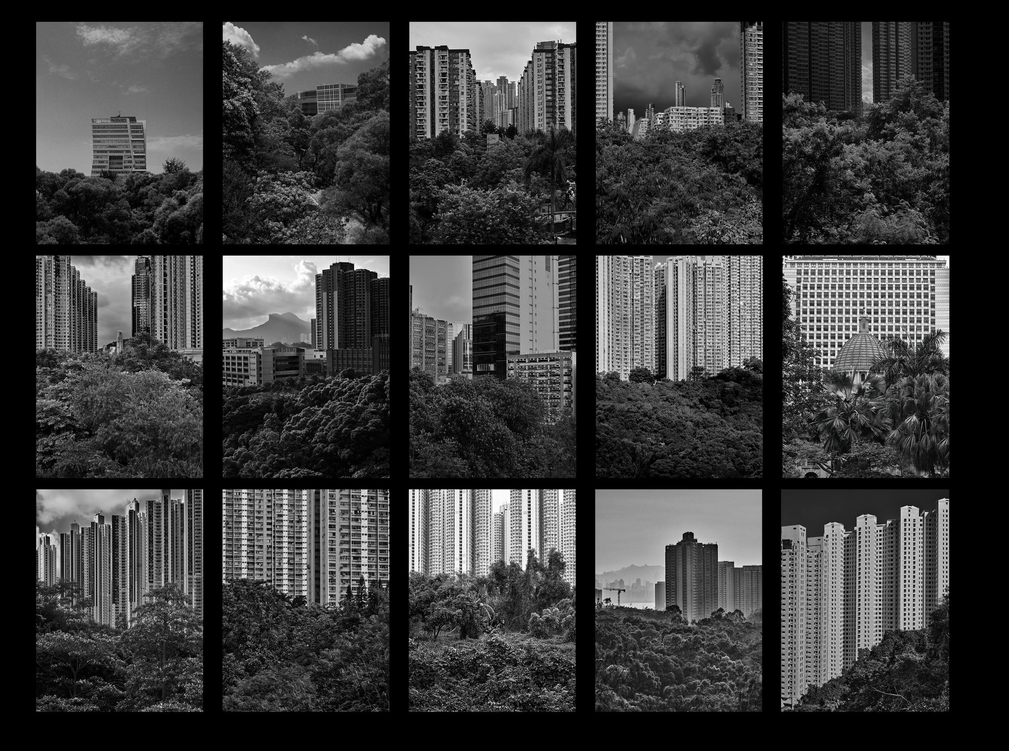 Missing Color  #1 - 15