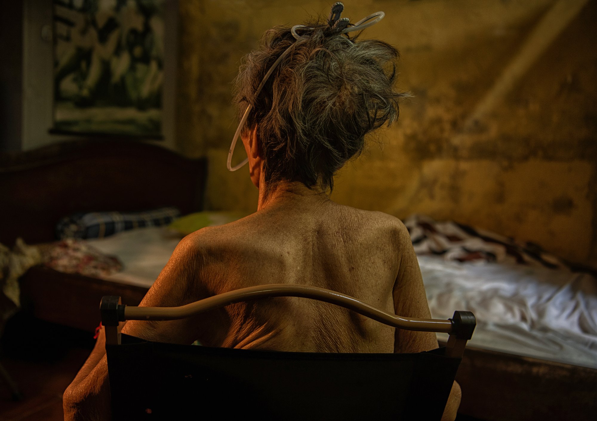 winner of photography awards