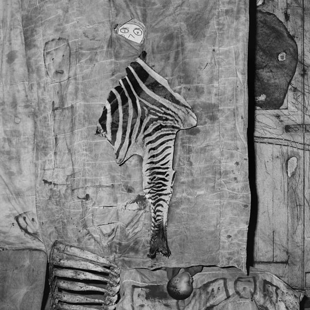 Skins and bones, 2007 © Roger Ballen