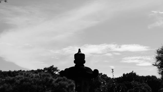 A Garden in the Sky