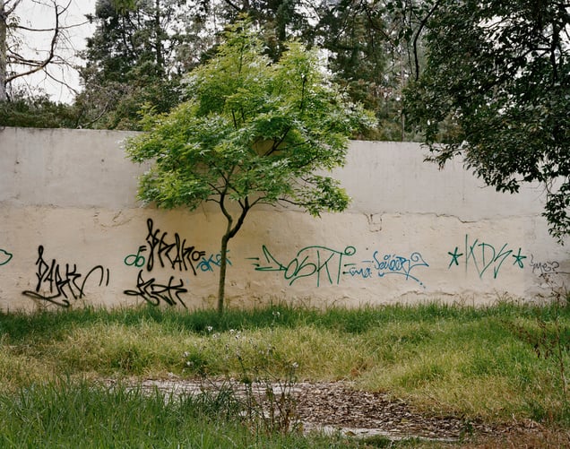 Untitled 5, El Jardín de Juegos