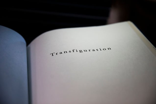TRANFIGURATION the singular fine art book on the 1932-33 famine-genocide in Soviet Ukraine held in esteemed private and public collections.