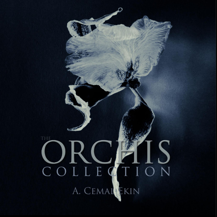 The Orchis Collection