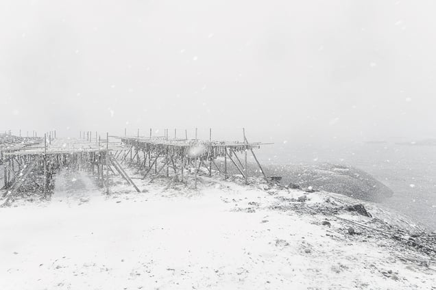 Untitled from "White is not a Colour"