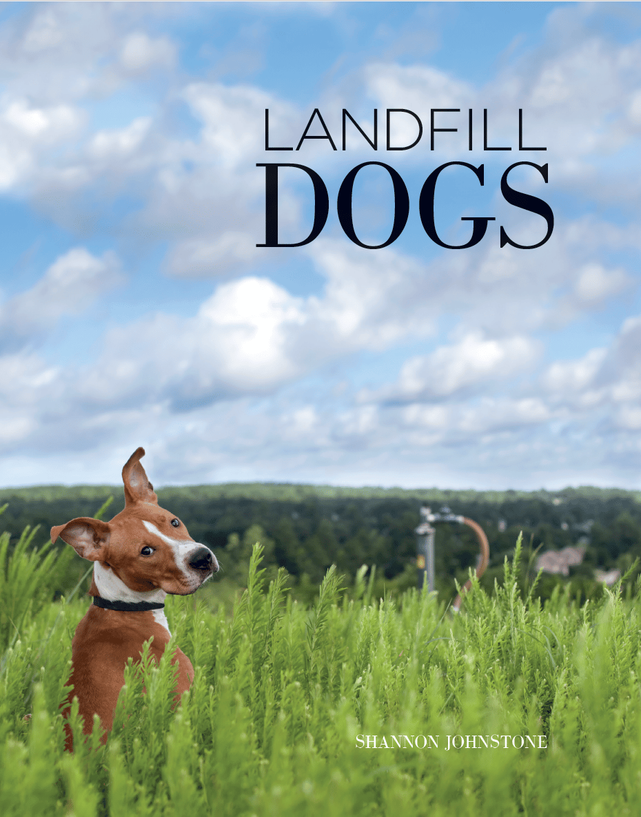 Landfill Dogs