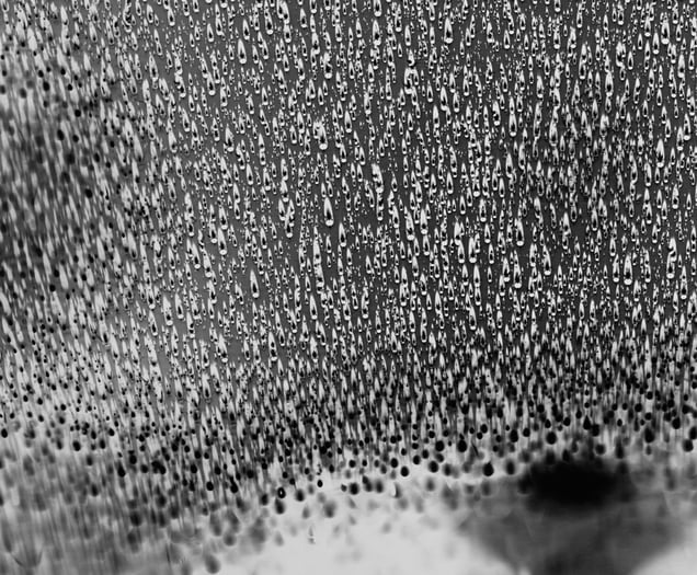 Detail of Rain Study (Puna) #10.