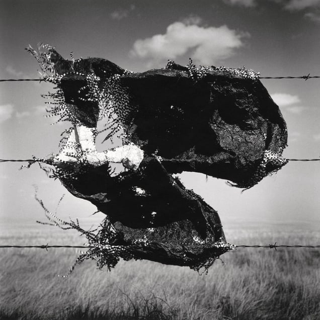 Snag #6 - Range Road 75, Cypress County, AB, Canada