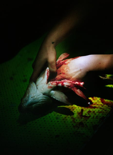 From the series Kontakt