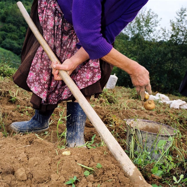 Hoeing, from the series Hand to Mouth © Tessa Bunney
