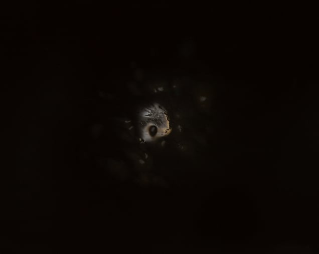 Untitled Work of Fire .002 2011. 16x20 Unique gunpowder generated gelatin silver print.