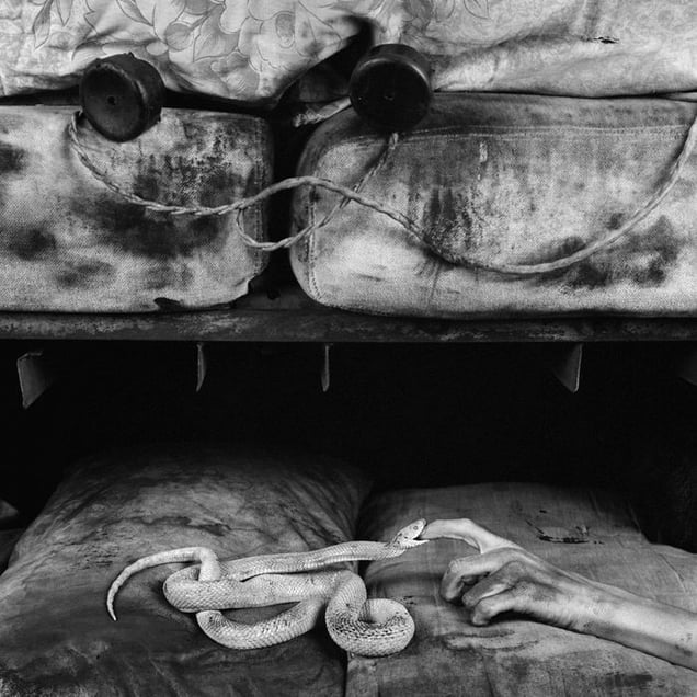 Bite, 2007 © Roger Ballen