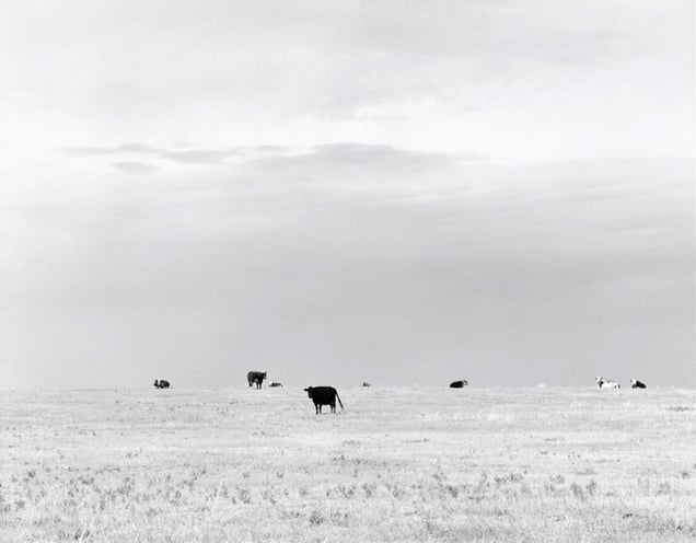 North of Briggsdale, Colorado. 1973. Diptych. © Robert Adams. Image courtesy of Fraenkel Gallery.