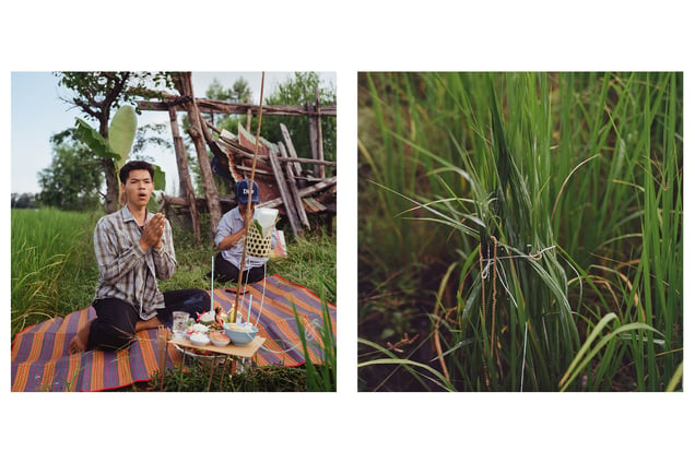 Rice blessing ceremony, Nong Bua, Nakhon Sawan. © Luke Duggleby 2025