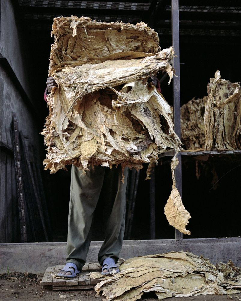 市場価格高騰中　THE FARM / JACKIE NICKERSON 写真集 市場価格高騰中 THE FARM / JACKIE NICKERSON 写真集 - メルカリ