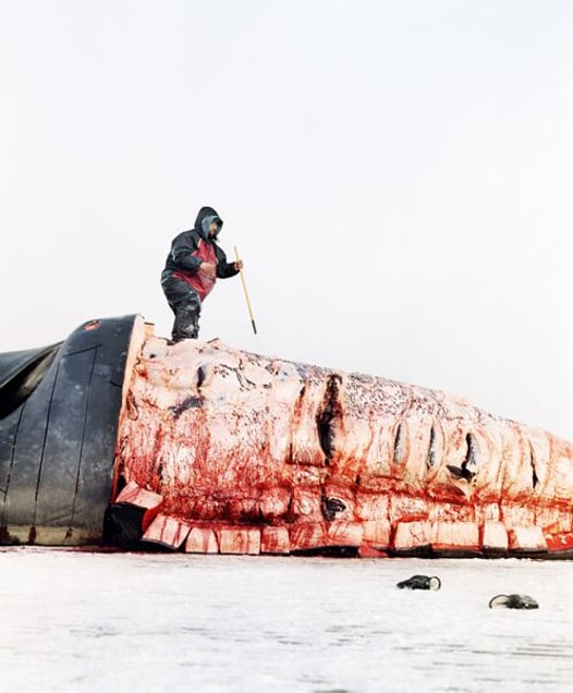 © Jeroen Toirkens, from the book Nomad, published by Lannoo