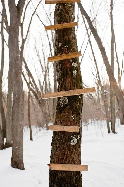 Ladder, 2010
