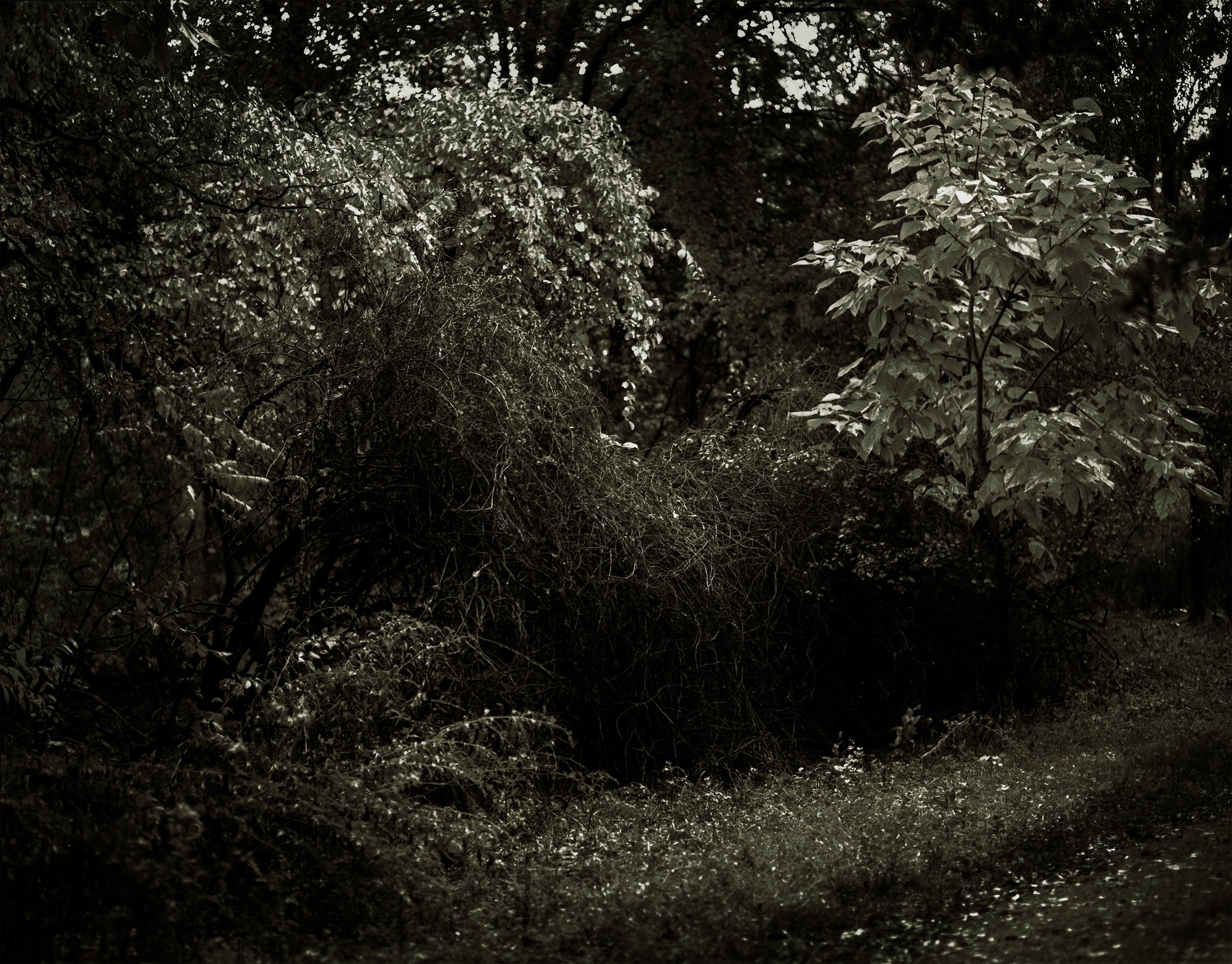 River of Names