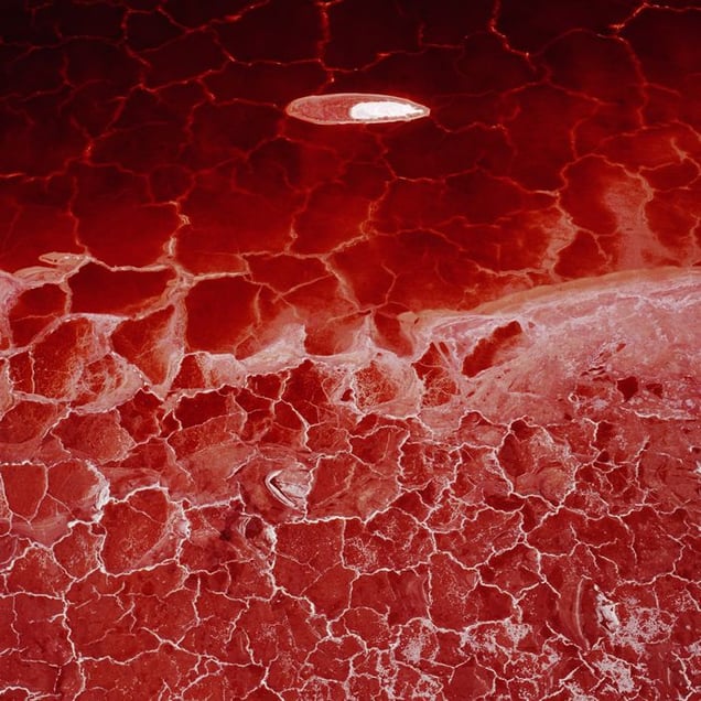 The Lake Project 3 from the series The Lake Project © David Maisel, courtesy of Prix Pictet 2008
