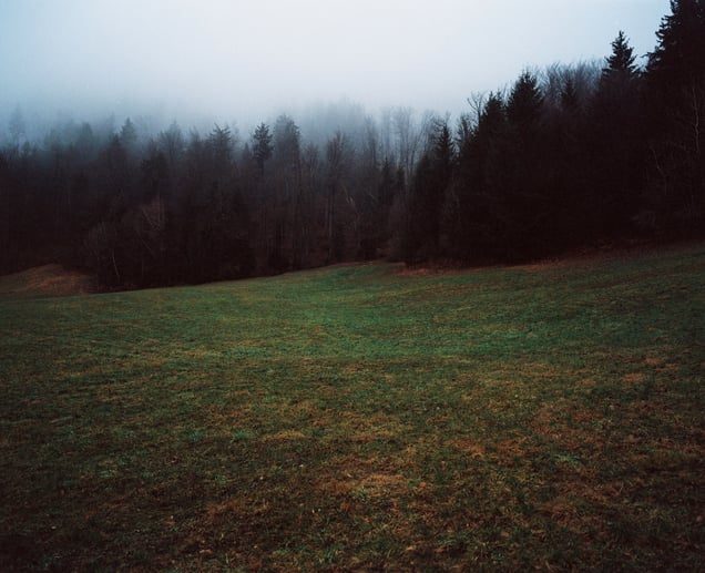 Poljanska dolina (2023)