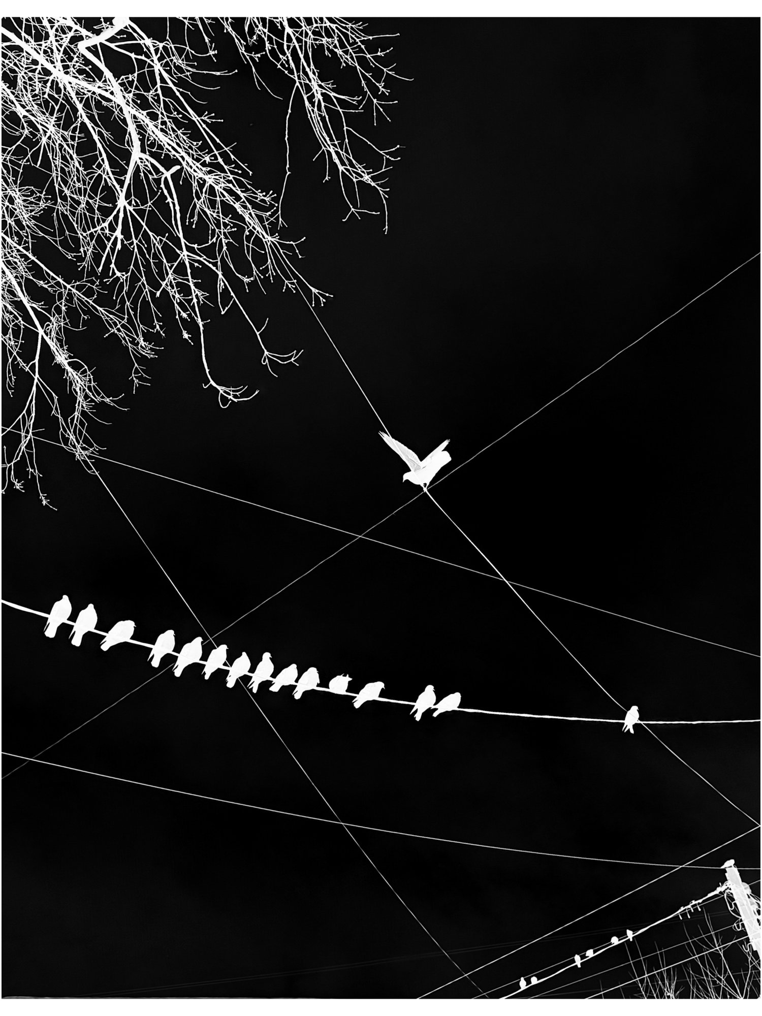 LensCulture Critics' Choice Award Winners for 2026 – Photo Competitions