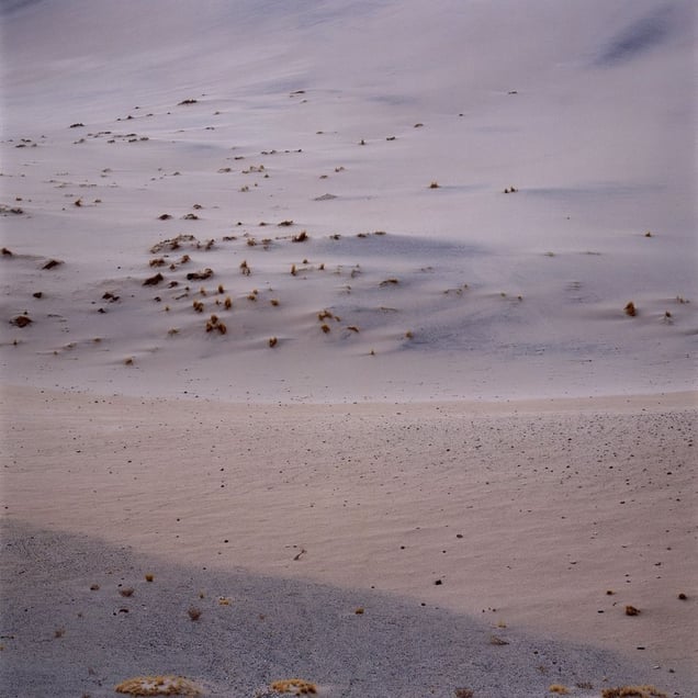From the series NOA                             © Emma Livingston