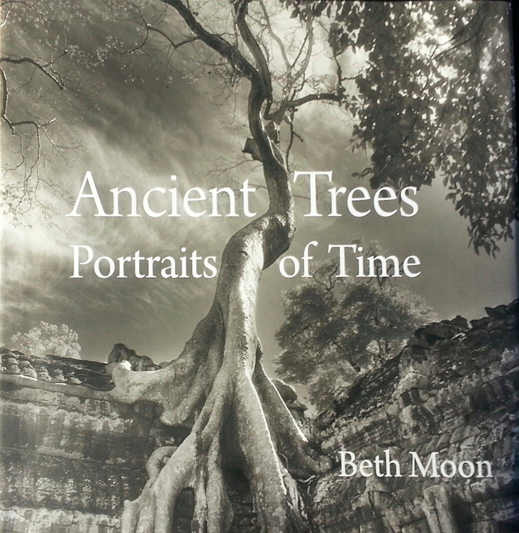 Ancient Trees: Portraits of Time