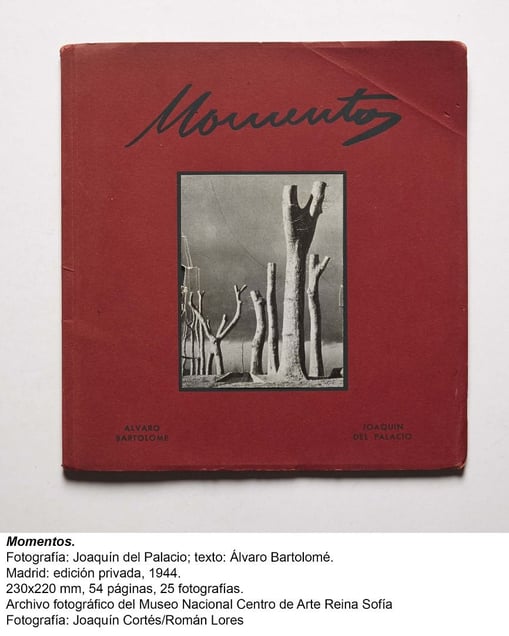 © Museo Nacional Centro de Arte Reina Sofia