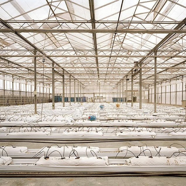 Hydroponic system set up. El Ejido, Almerí­a. © Reinaldo Loureiro