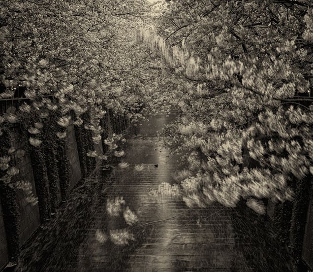 © Albarrán Cabrera