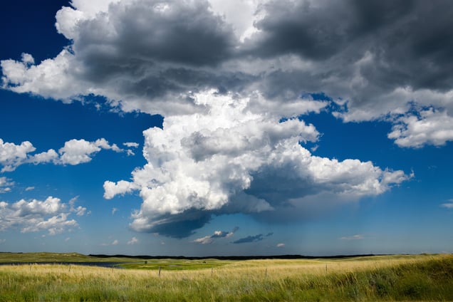 North Dakota Prairie