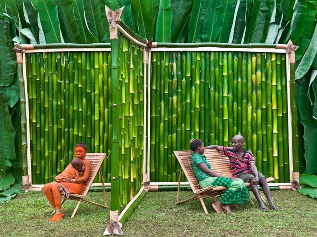 © Patrick Willocq - Walé Oyombé, polygamy. The prestige and power of a Walé derives from the respect she earns by observing the sex taboo during the period of her seclusion (2 to 5 years), despite her attractiveness and youth. But a direct consequence of the Walé ritual is to encourage polygamy, socially accepted by the community.