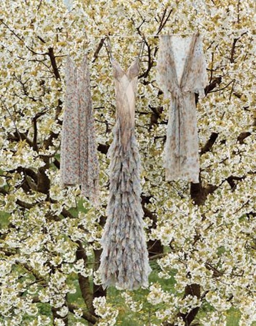 2nd prize Arts and Entertainment Singles © Alfred Seiland, Austria, The New York Times Magazine, Hanging gardens. A Marc Jacobs sundress, an Alexander McQueen chiffon gown, and a Max Mara printed silk dress hang among spring blossoms.