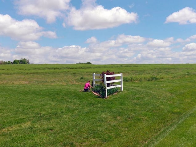 A Woman Pulling Weeds in Her Front Yard, Fall Creek, IL 2009, from the series Prairieland, © Dave Jordano. Honorable Mention, Lens Culture International Exposure Awards 2011
