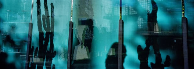 Green Illusion of the Trees