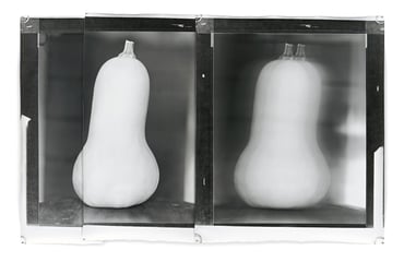 Jeff Cowen — New Large Abstract Works at House Berlin, Photography Competition & Awards
