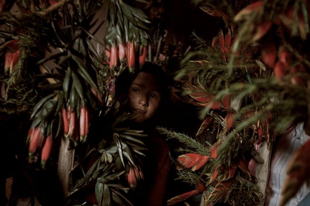 Chungui, o el viaje al sureste del olvido ©  Max Cabello Orcasitas