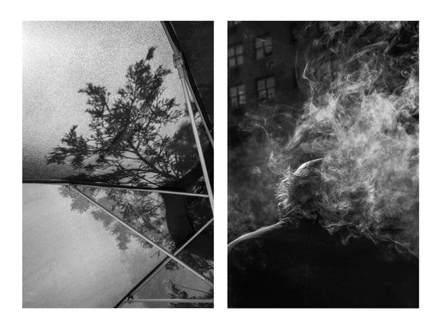 Tree/Smoke