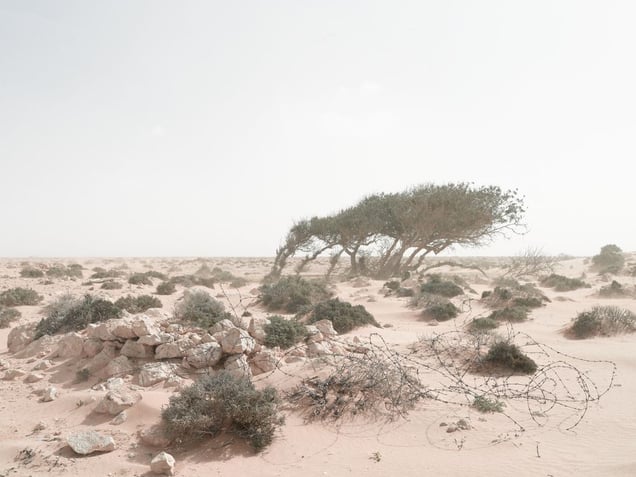 Defensive position in an encroaching sandstorm, Alem Hamza Battlefield, Libya | From the book "Topography is Fate: North African Battlefields of World War II" | © Matthew Arnold Photography