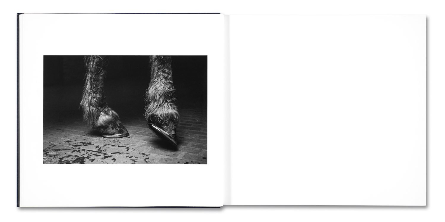 Some Say Ice - Photographs by Alessandra Sanguinetti | Essay by