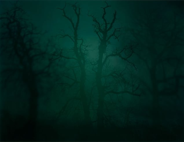 In Darkness Visible (Verse I) #14. 2007 © Nicholas Hughes