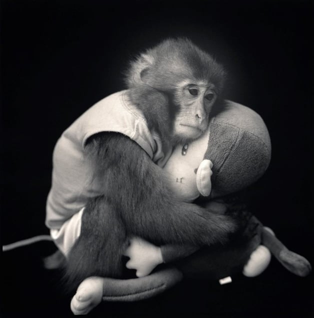 Big with Monkey Doll, Suo Sarumawashi © Hiroshi Watanabe