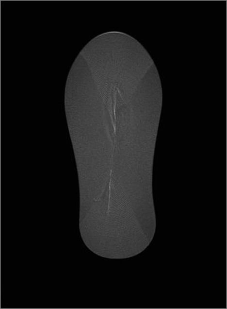 Protégé Bas. © Elaine Duigenan