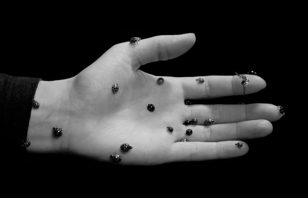 From the photobook, Penumbrae © Juul Kraijer