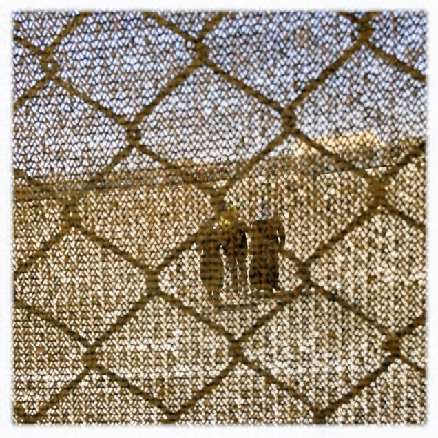 iPhone photography assingment with teenagers in Za'atari, Jordan