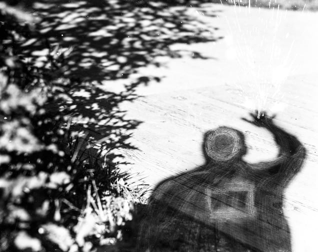 © Michael Donnor